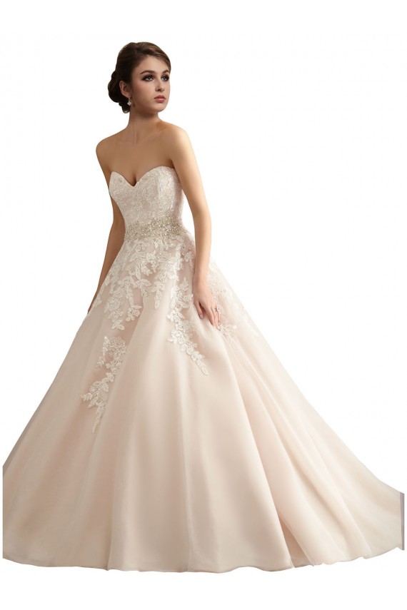 Avorio & Champagne Abito da ballo Scollatura a V Cattedrale di treno Tulle Pizzo Abiti da sposa AllIngrosso