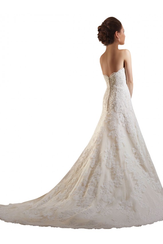Avorio & Champagne Linea A Innamorato Tulle Pizzo Abiti da sposa AllIngrosso