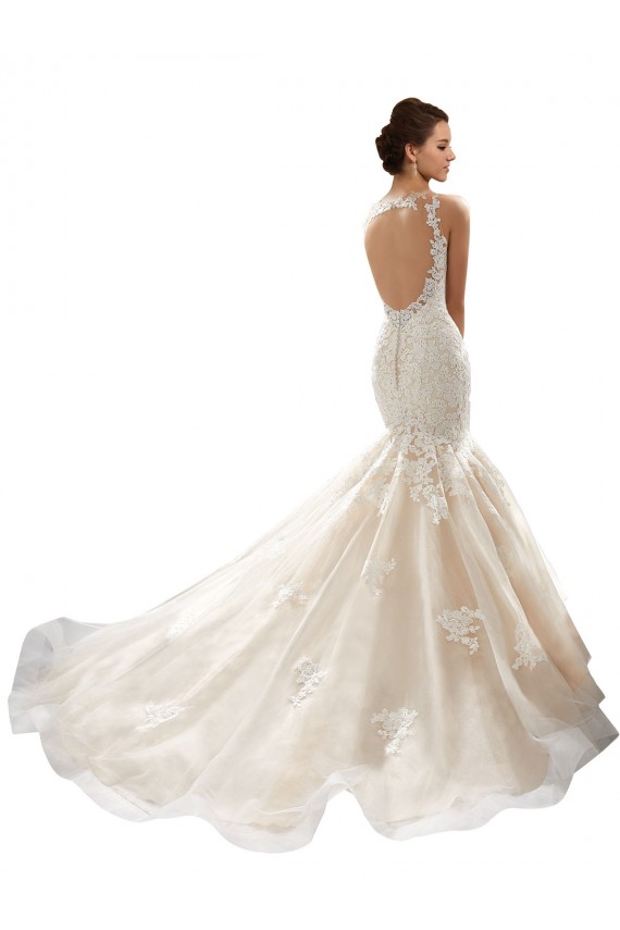 Avorio & Champagne Stile sirena Scollatura a V Tulle Pizzo Classico Abiti da sposa AllIngrosso